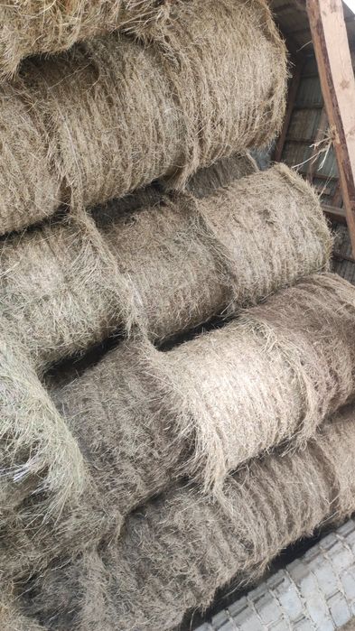 Sprzedam siano  spod dachu