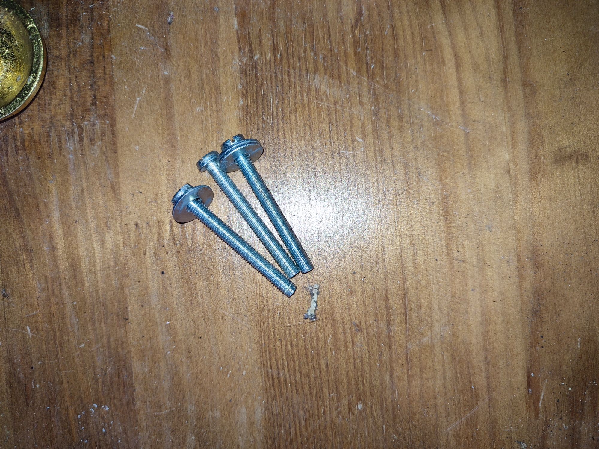 Batente de porta em metal dourado com leão