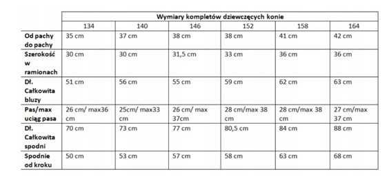 Komplet koszulka legginsy leginsy koń 146, 152, 164 konie a