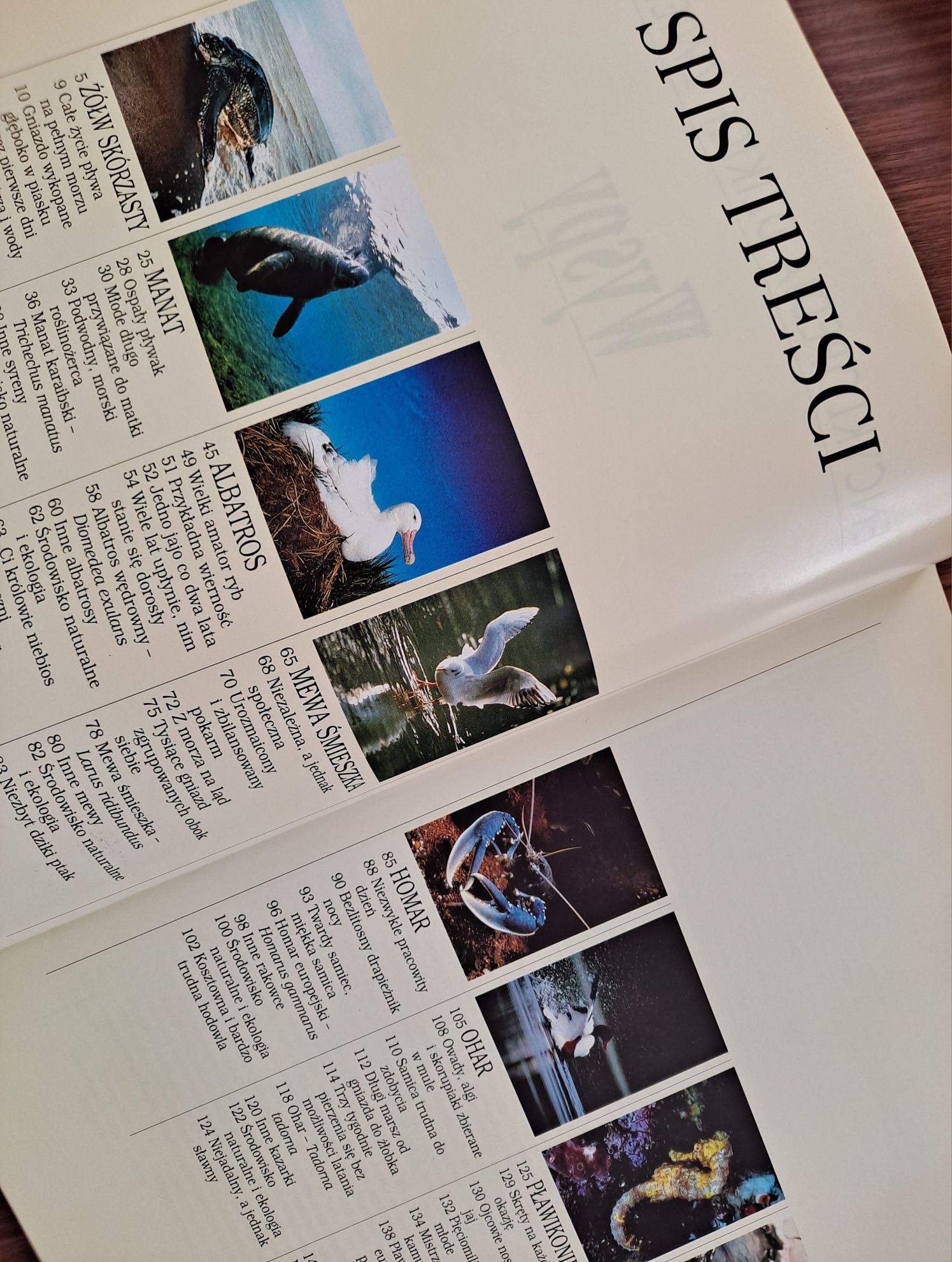 Encyklopedia Dzikich Zwierząt/Wyspy