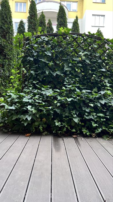 Wynajmę mieszkanie 74m z balkonem i tarasem