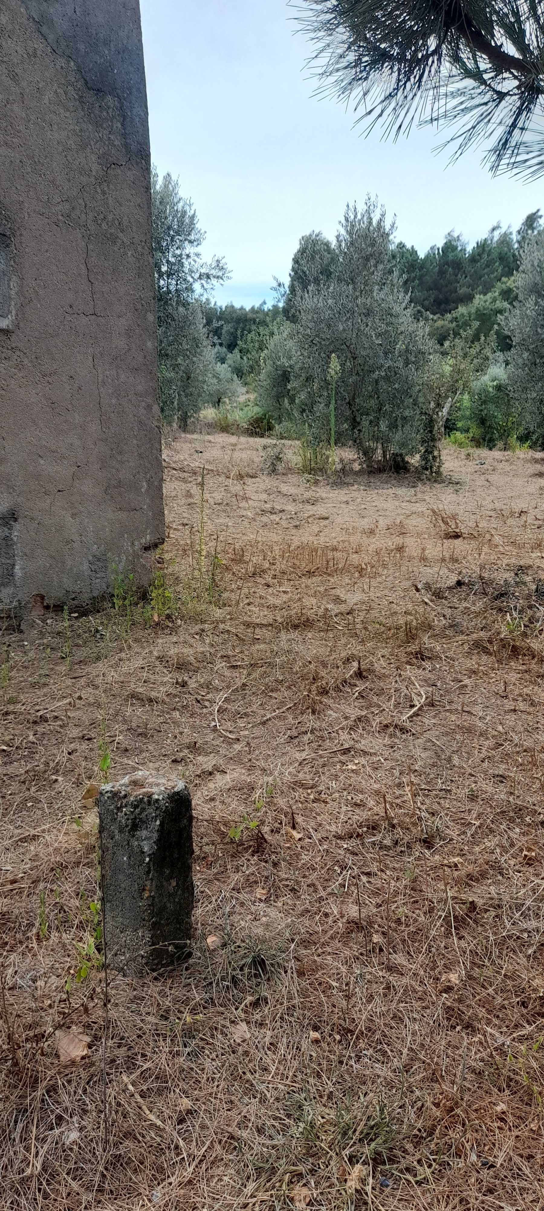 Terreno com casa para restaurar