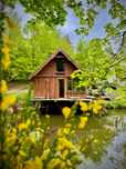 domek nad jeziorem w lesie, cisza, urlop. sauna, łowisko, grzyby,