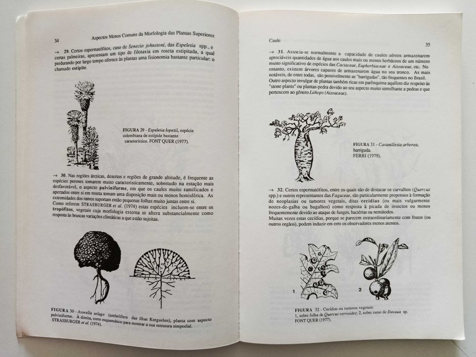 Aspectos poucos comuns da Morfologia das Plantas Superiores
