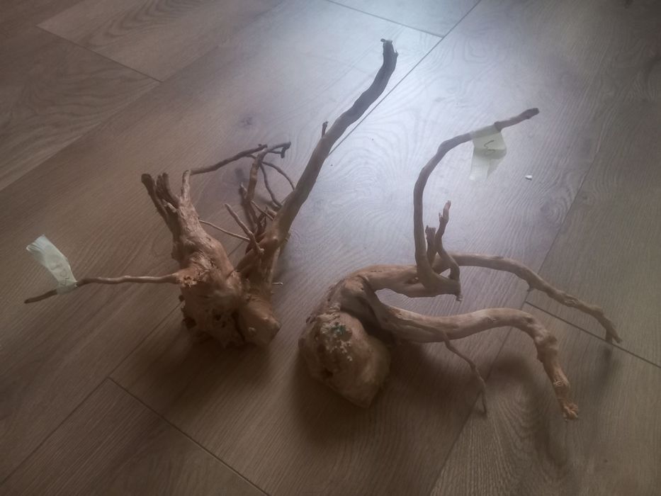 Korzenie akwariowe 2 sztuki