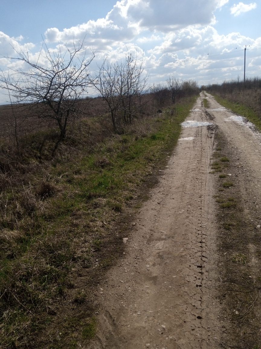 Земельна ділянка