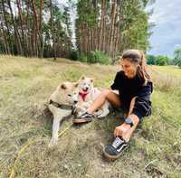 Psijaciele szkolenie psów - Trener, behawiorysta Edyta Kubiak \