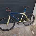Bicicleta de montanha