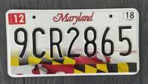 Tablica rejestracyjna USA Maryland oryginał