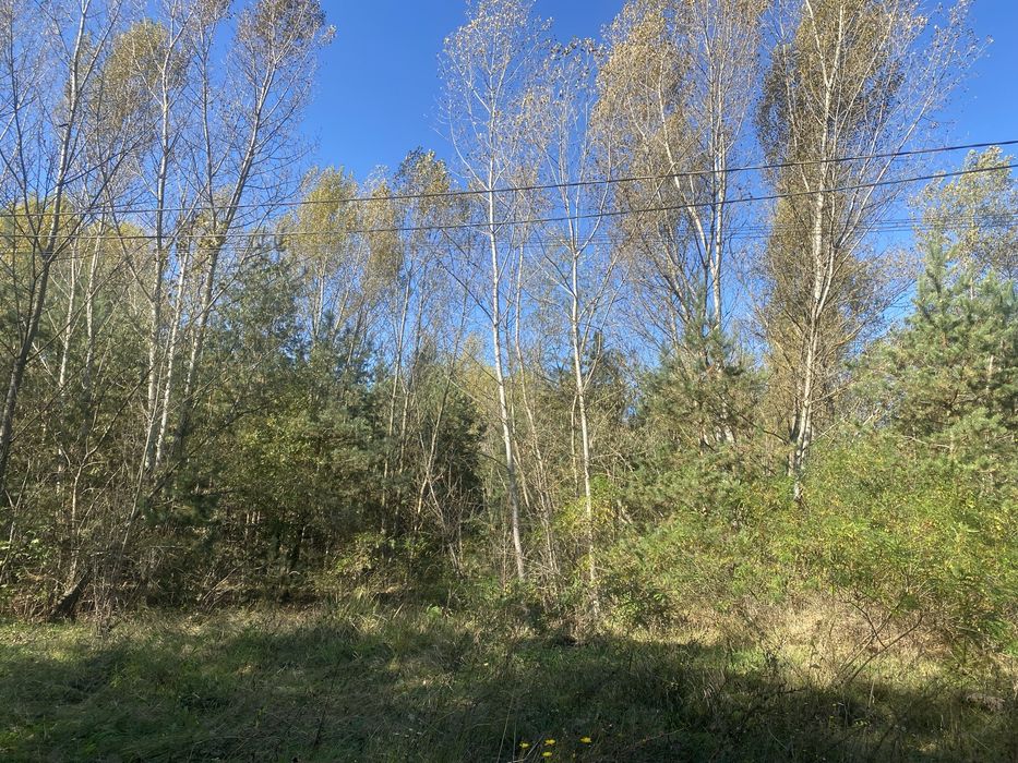 Продаж ділянки Гореничі вул Лісна
