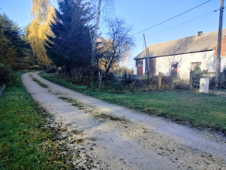 Siedlisko na sprzedaż 1,6 ha