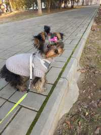Теплый свитер для собак  размер  S, L, XL