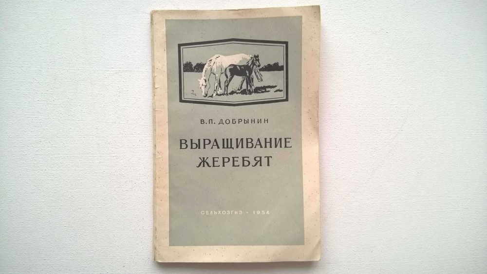 Выращивание жеребят. Добрынин В.П.