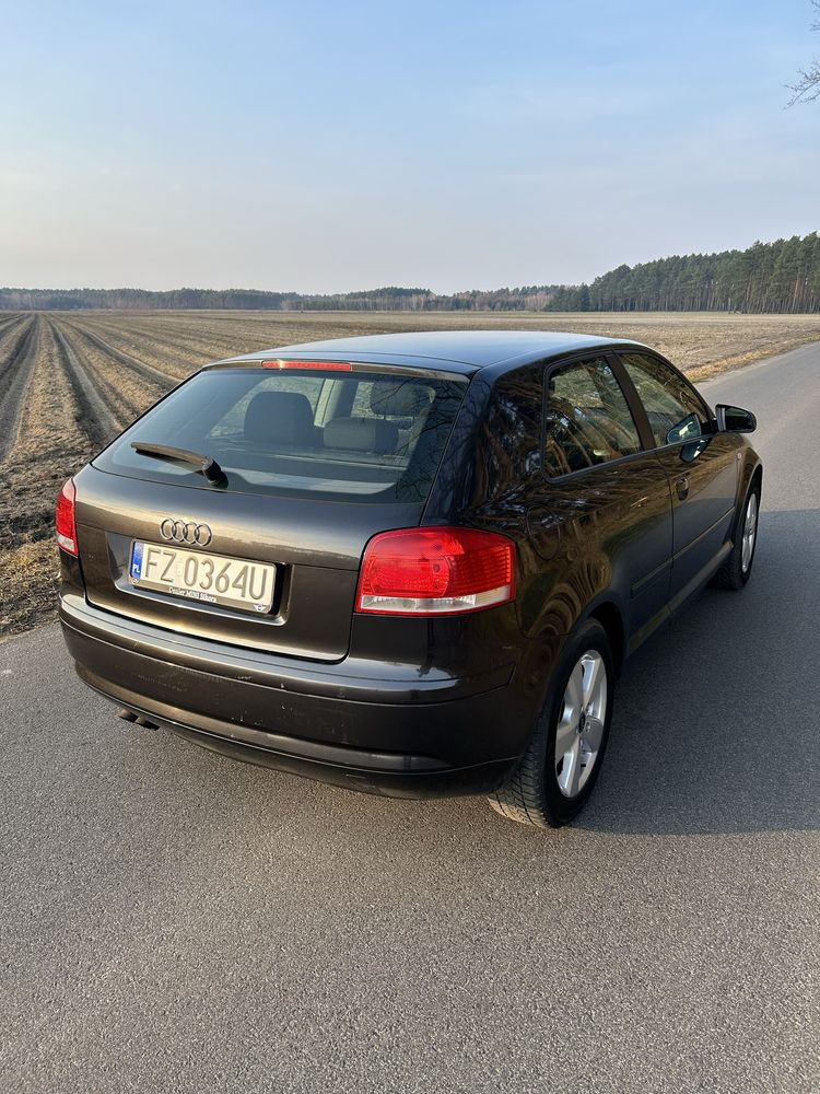 Audi a3 8P 1.9TDI