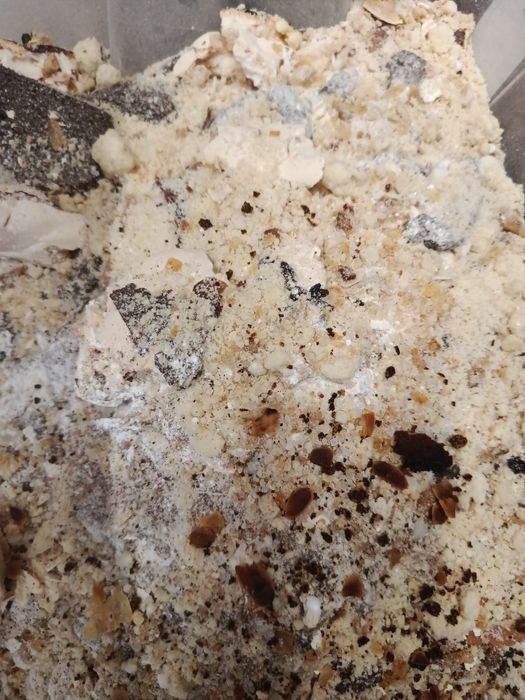 Zanęta cukiernicza ,odpad