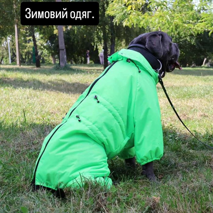 Комбінізони для великих порід.  Кане-корсе,  Ротвейлер, Лабрадор