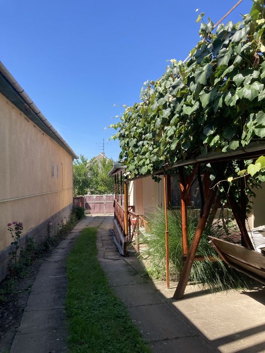 Оренда житла Косонь, село Запсонь  подобово і на довший термін