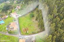 Terreno Urbanizável com 2450 m2 na Camacha, Santa Cruz
