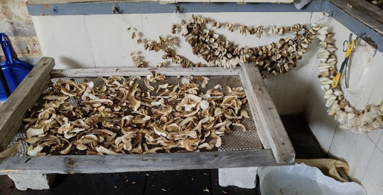 Prawdziwki suszone tradycyjnie na piecu 100g.