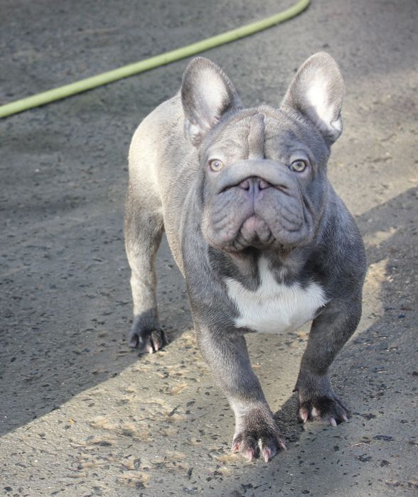 Красені підлітки