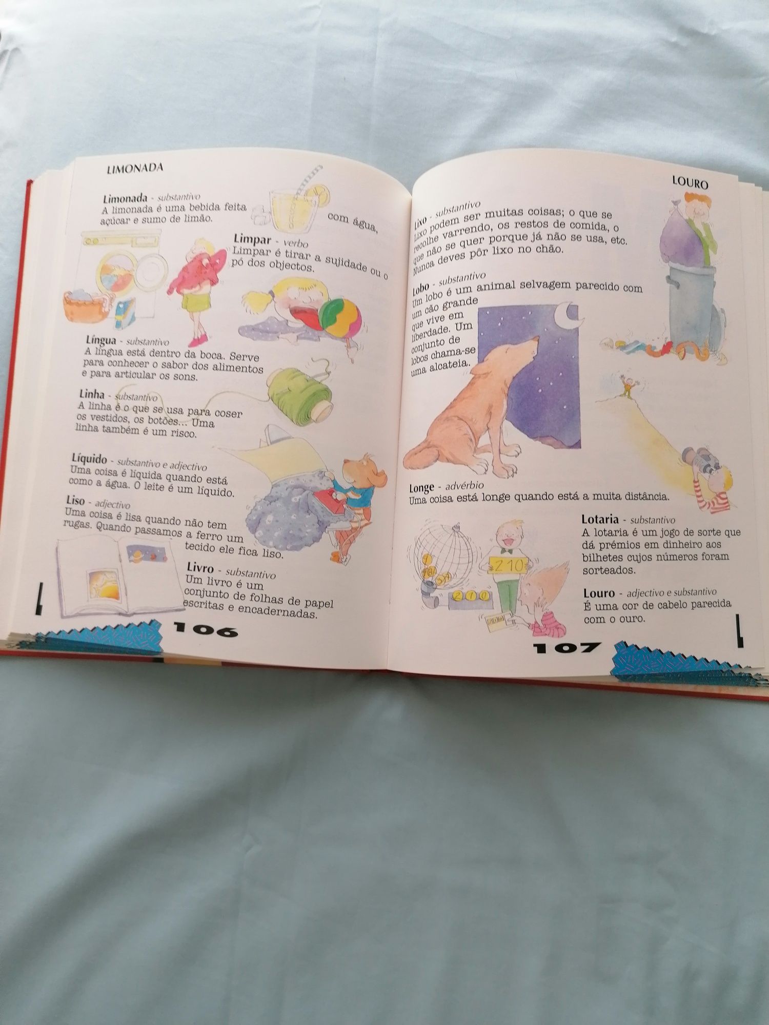 O Meu Primeiro Dicionario Everest