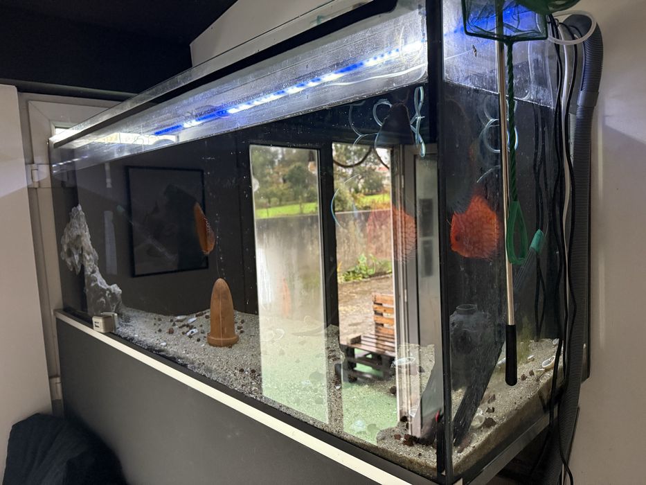 Aquario 450L 150x60x50