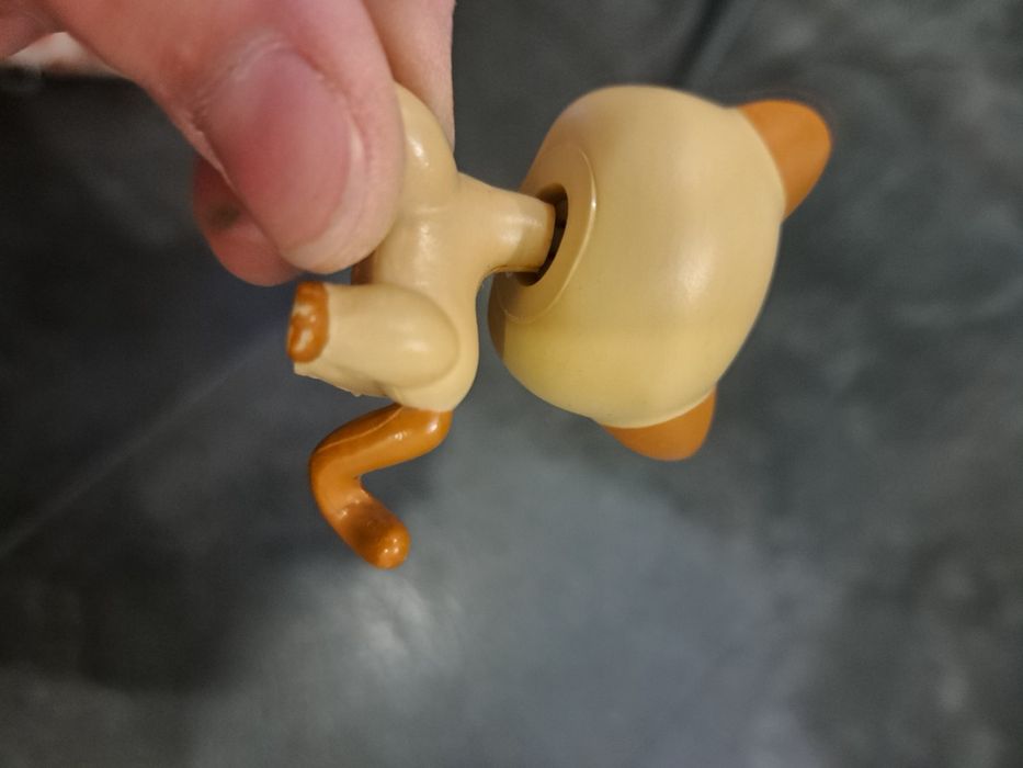 Kotek pet shop uzywany