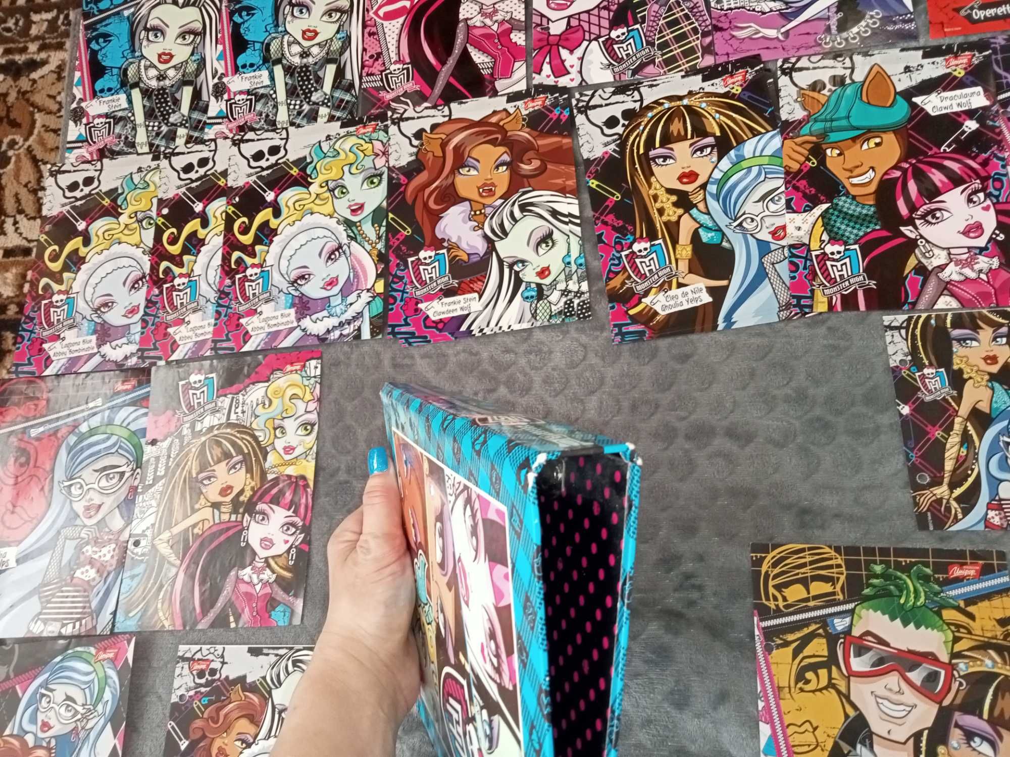 Karteczki kolekcjonerskie z MONSTER HIGH i segregator.