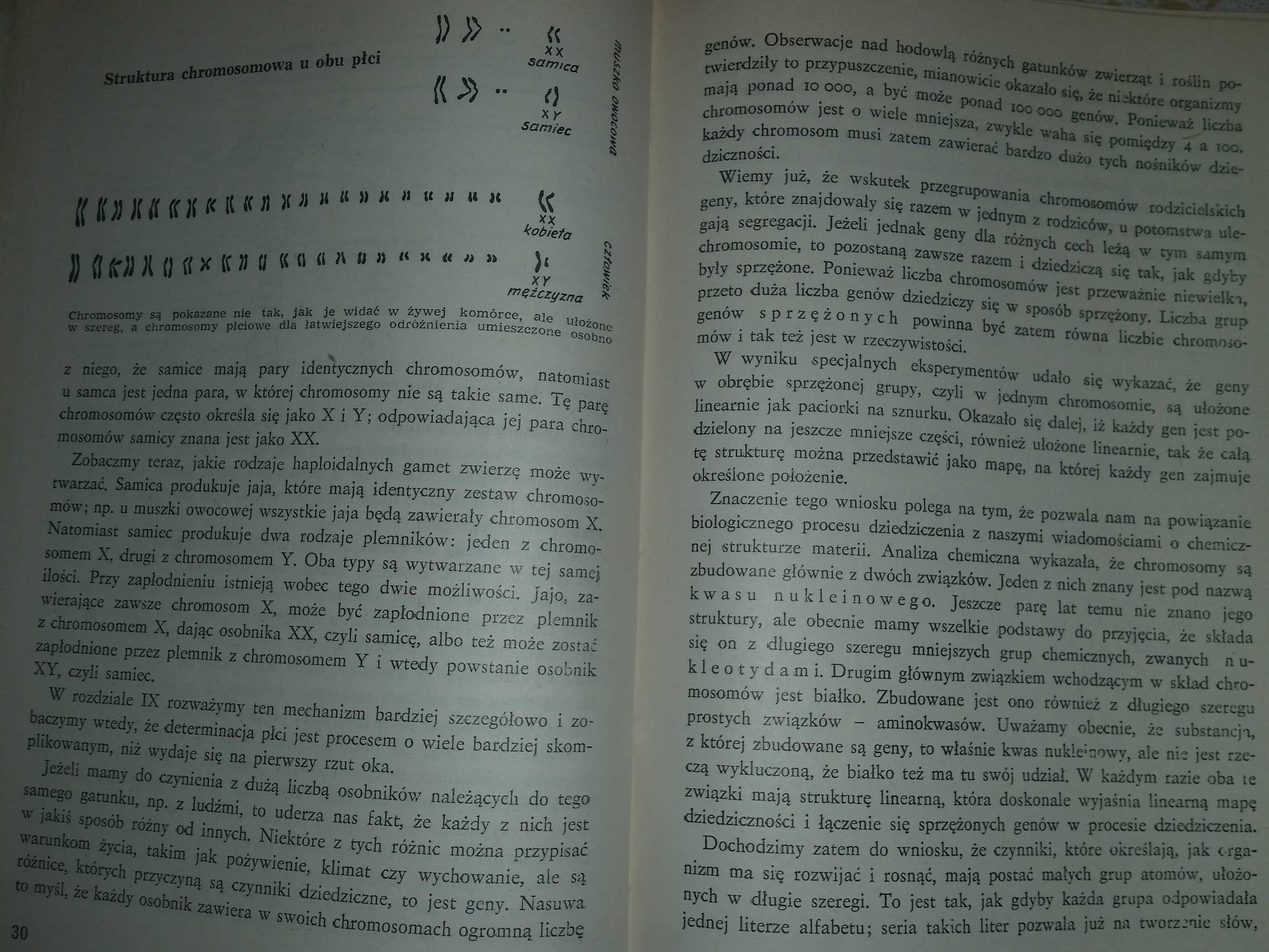 Biologia chemia fizyka XX wieku stara książka PRL 1966