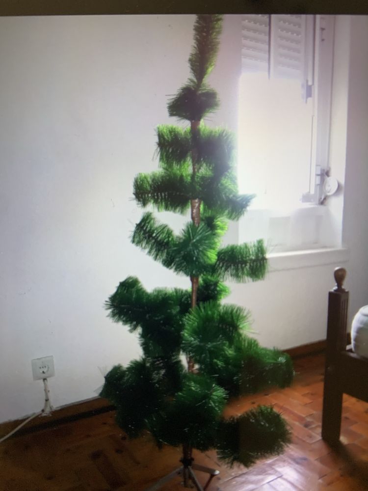 Dou Árvore de Natal.