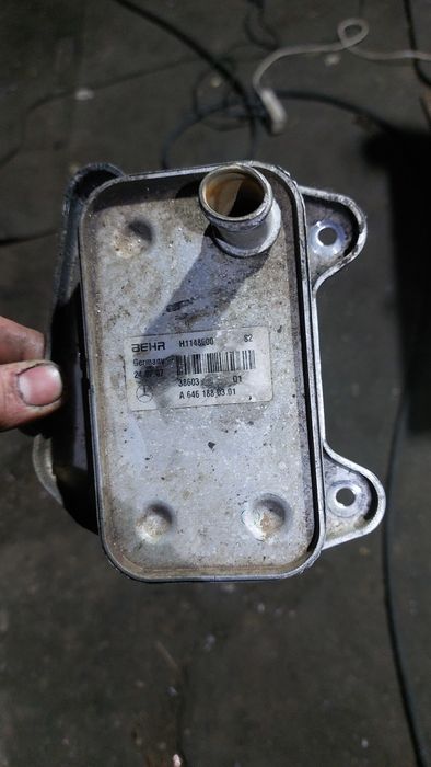 Радіатор масляний-Mercedes Vito 639.Радіатор-Мерседес Віто 639.Радіато