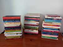 Livros - várias temáticas - baratos