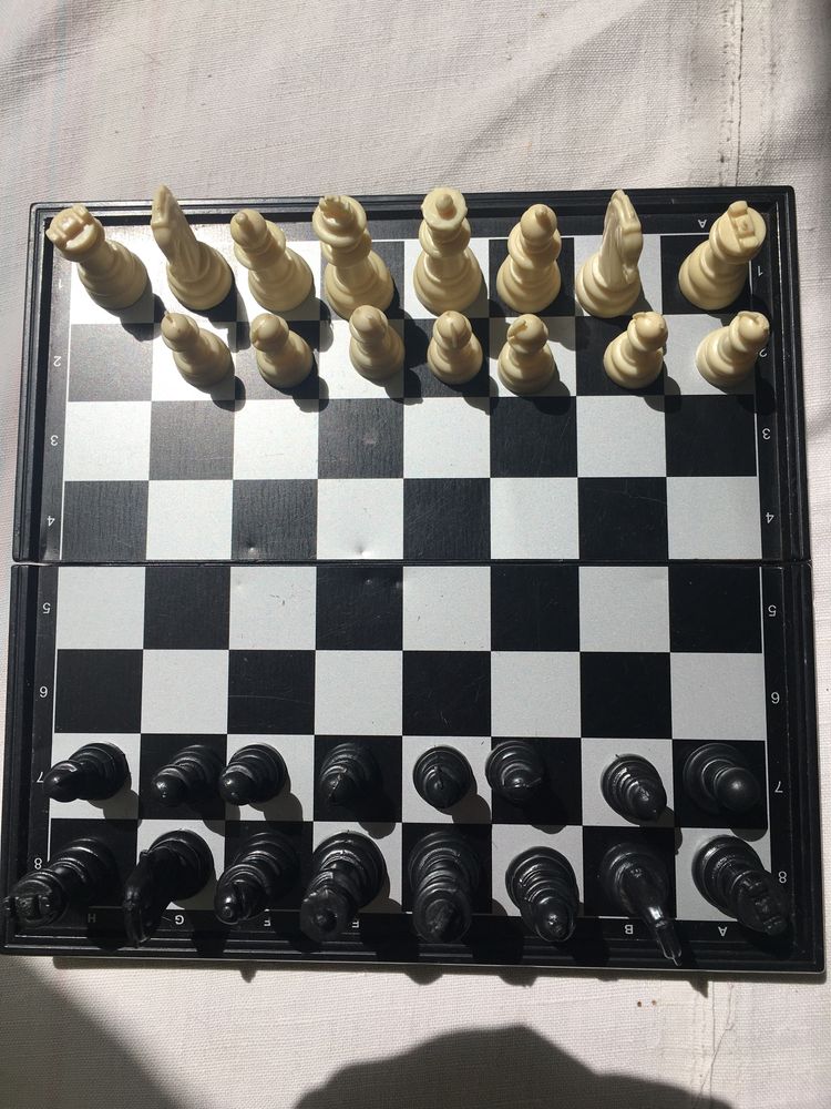 Настольные игры: лото и шахматы