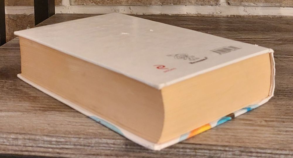 Незнайка на Луне.Путешествие в Каменный город.Носов.