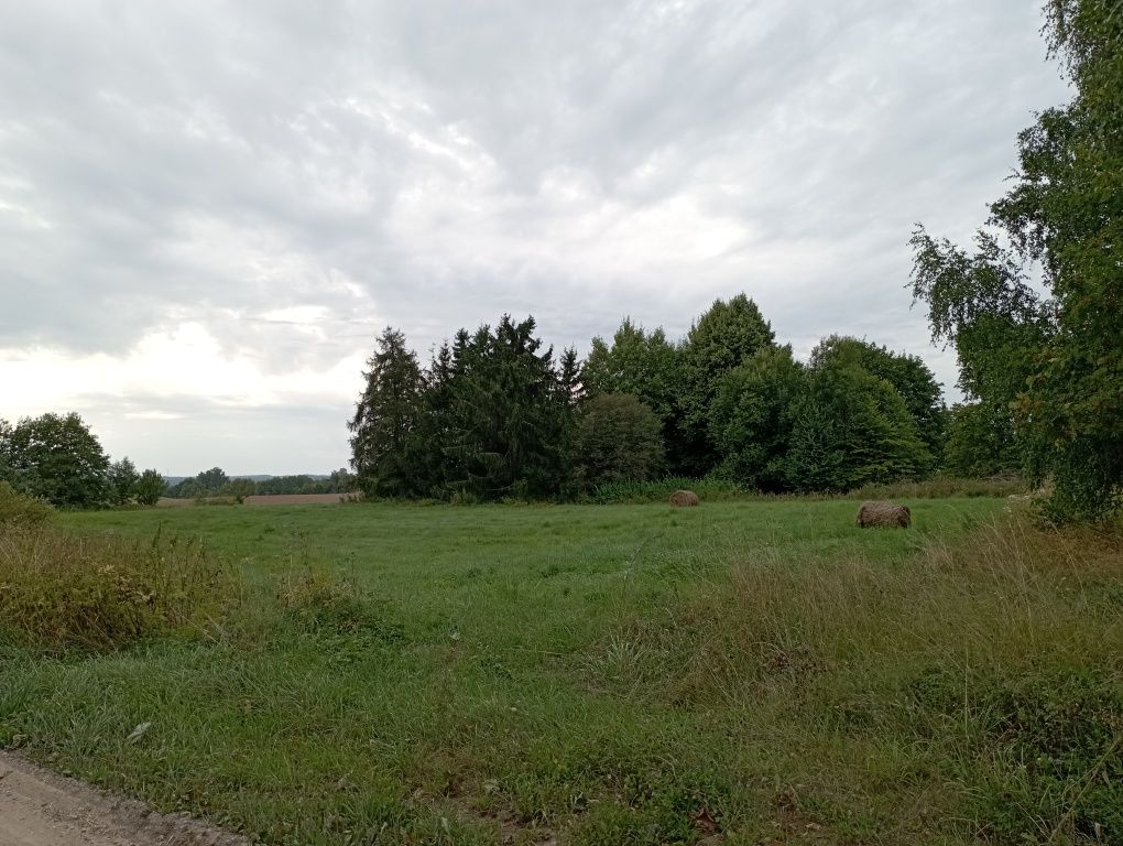 Sprzedam działkę