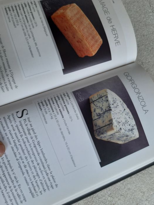 Livro de queijos franceses