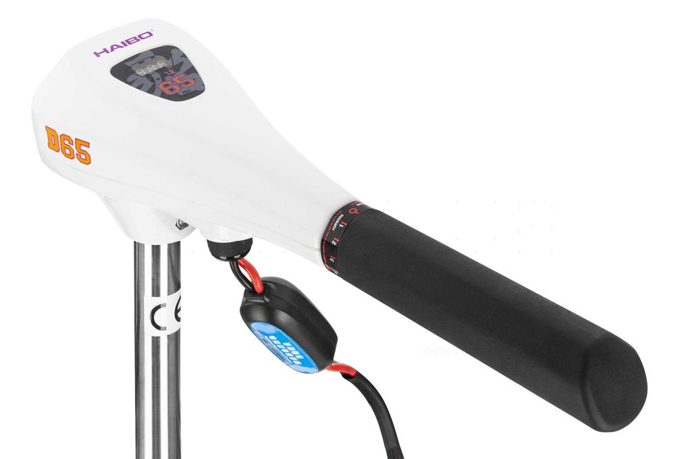 Silnik zaburtowy elektryczny HAIBO D 65 lbs 12V do łodzi, pontonu