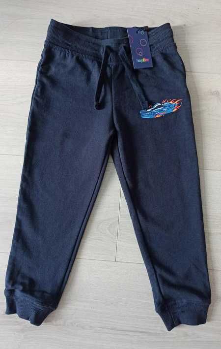 Дитячі спортивні штани джоггери Lupilu на хлопчика 31858