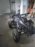 Quad Bombardier 125