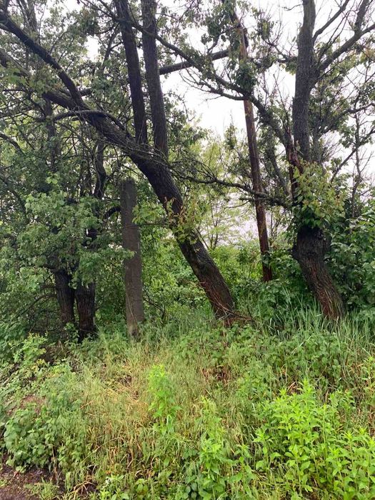 Продаю  земельну  ділянку 23 соток під будівництво (поблизу річки)