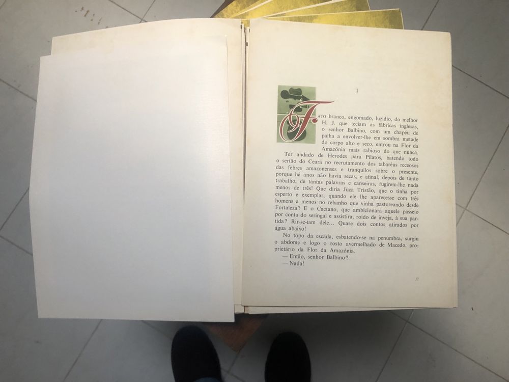 Ferreira de Castro (il. Júlio Pomar)- A Selva