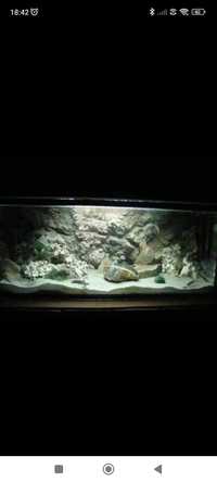 Akwarium duże ok. 270l z grubego szkła szczelne