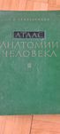 Medycyna Atlas anatomii człowieka.