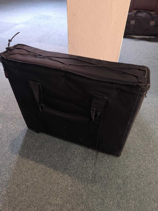 Power amp Carvin TS100