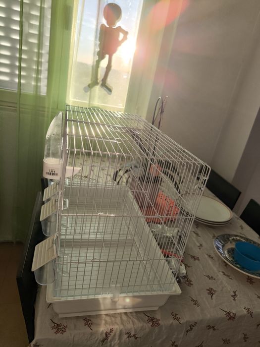 Vendo gaiola nova