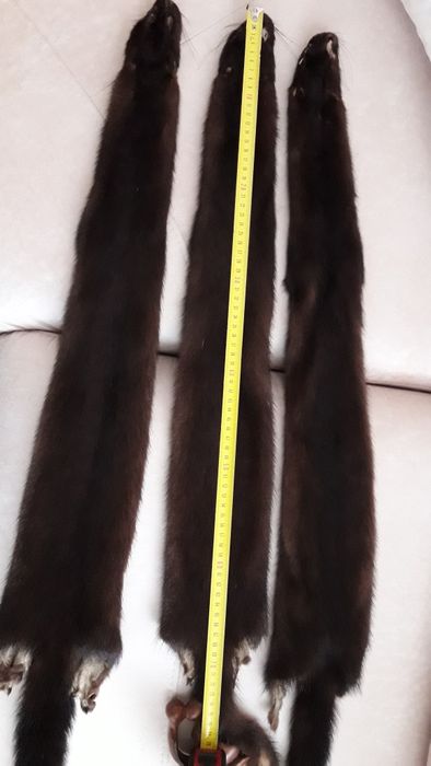Продам шкіри норки та фредки.