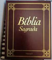 Bíblia Sagrada 15 volumes