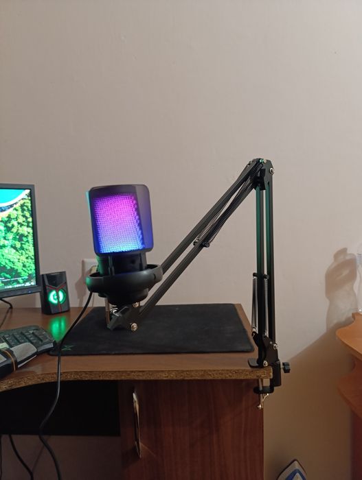 Ігровий мікрофон