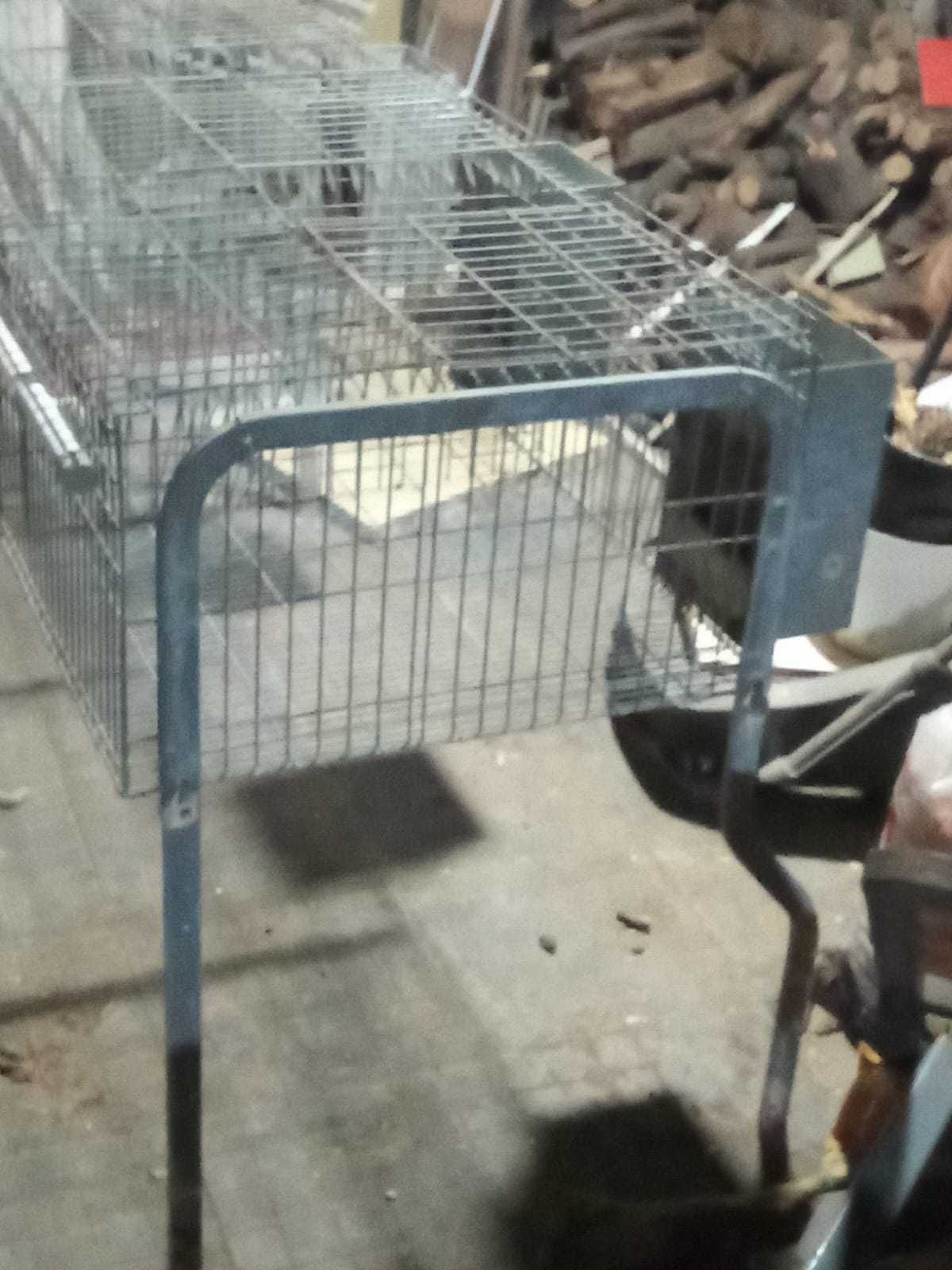 Vendo jaula para coelhos com 3 divisões — em bom estado!