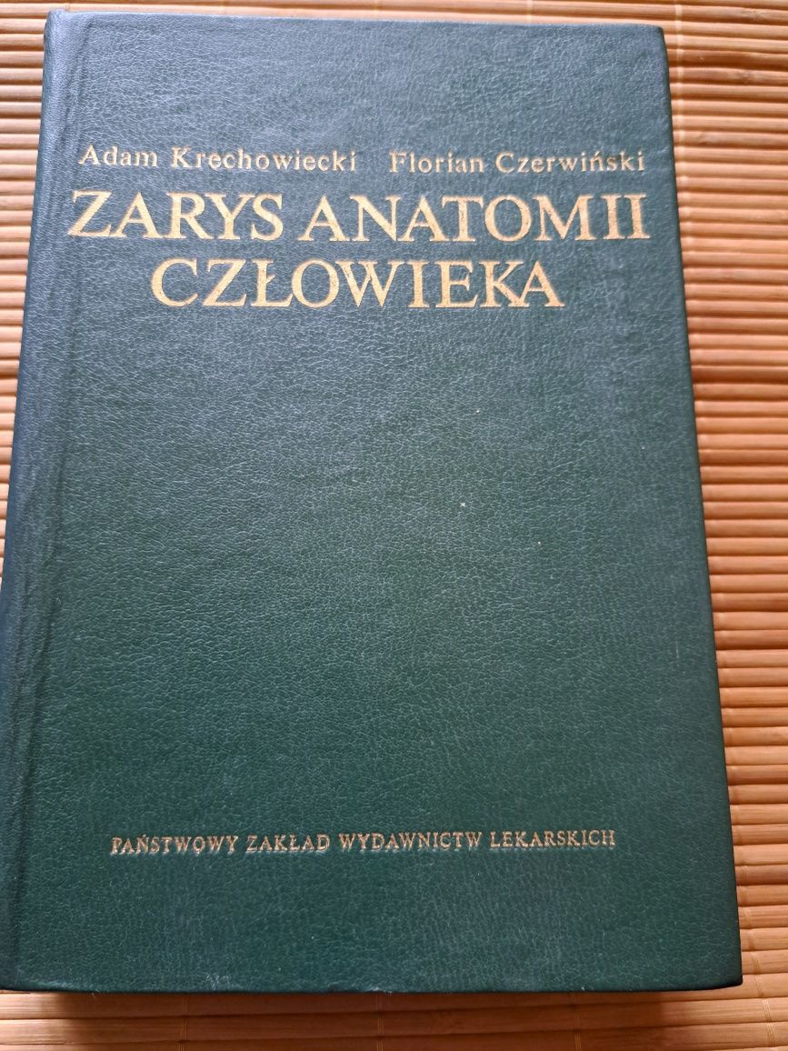 Zarys anatomii człowieka